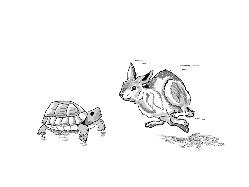 fast and slow