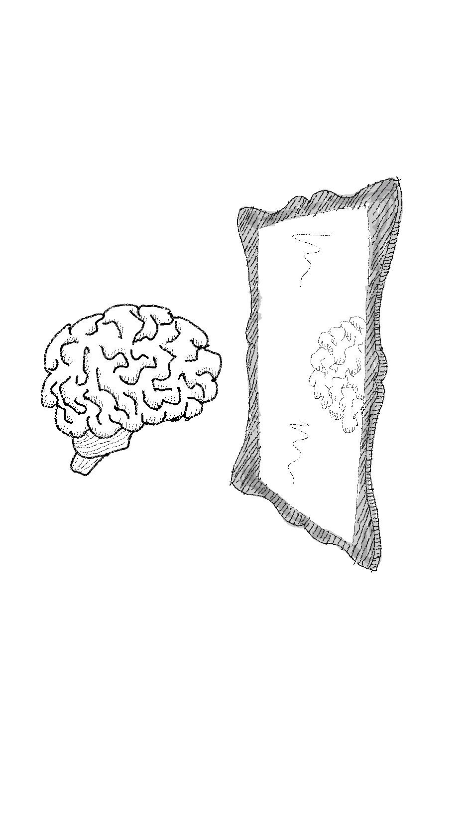 neurones miroirs
